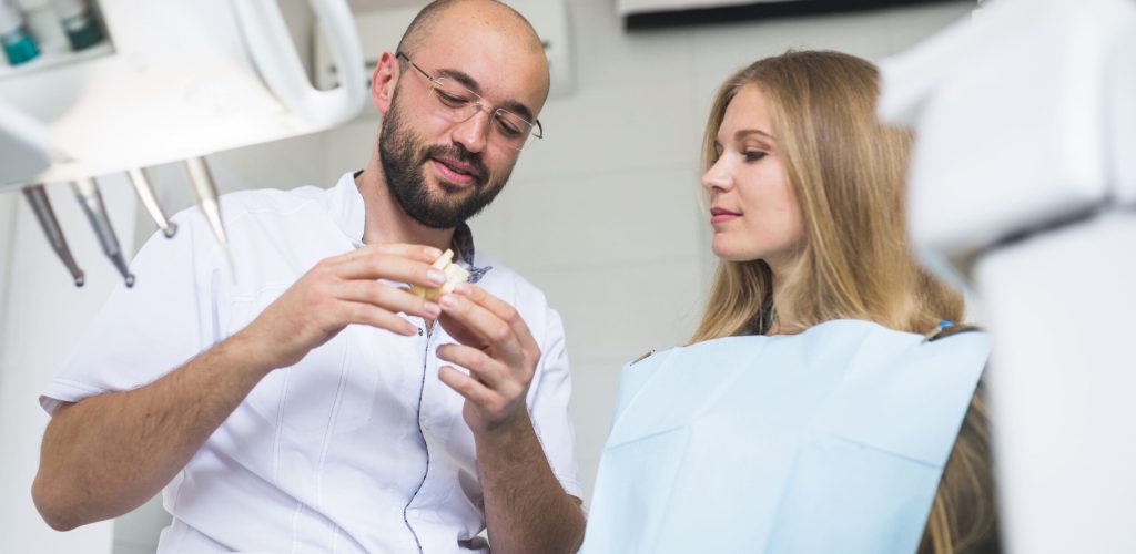 Dentist showing dental jaw to female patient